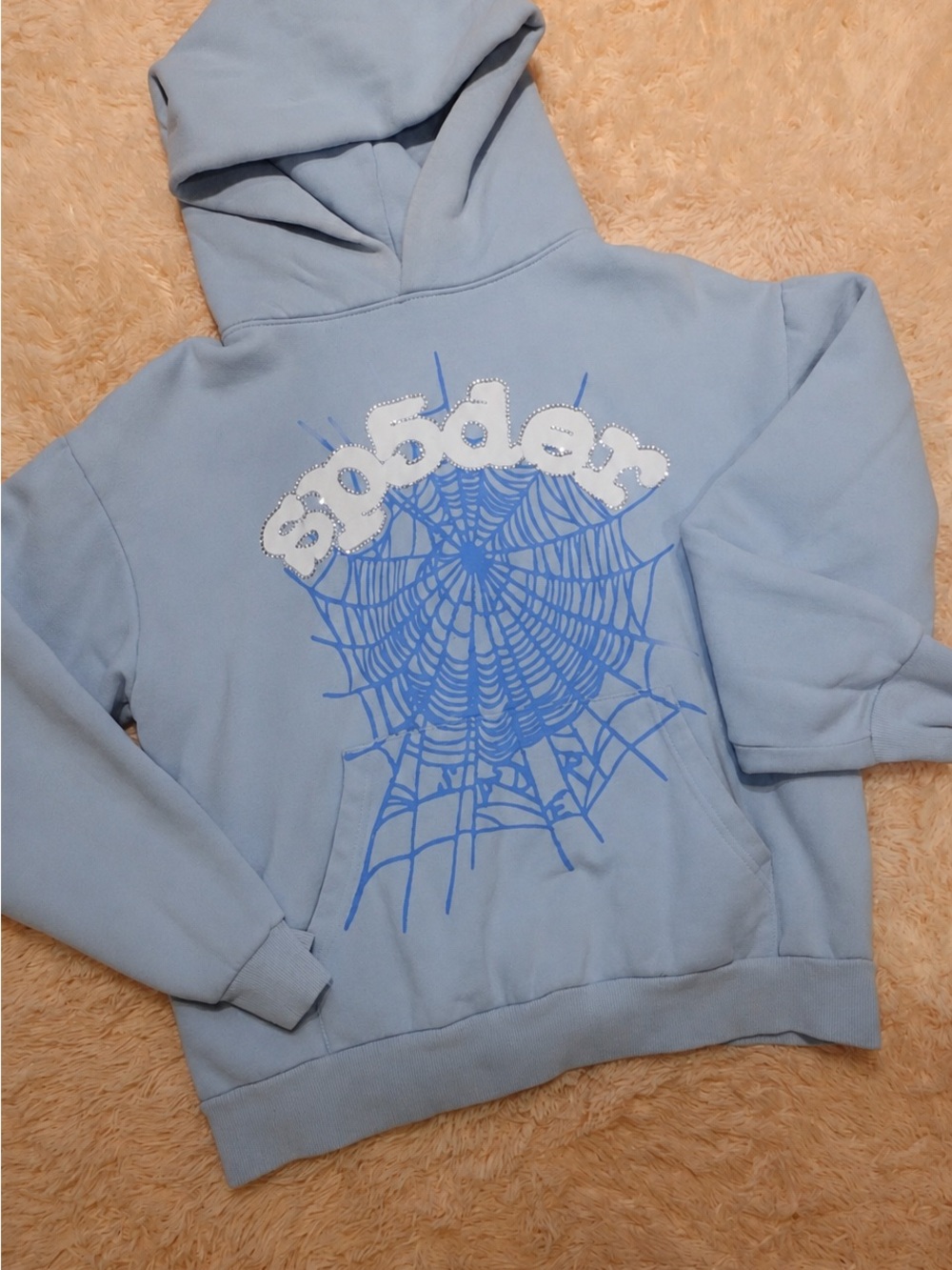 Light Blue Spider Web Hooded Sweatshirt with Embellished Logo